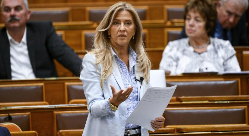 Selmeczi Gabriella is elhatárolódott Nagy Feró nyilatkozatától
