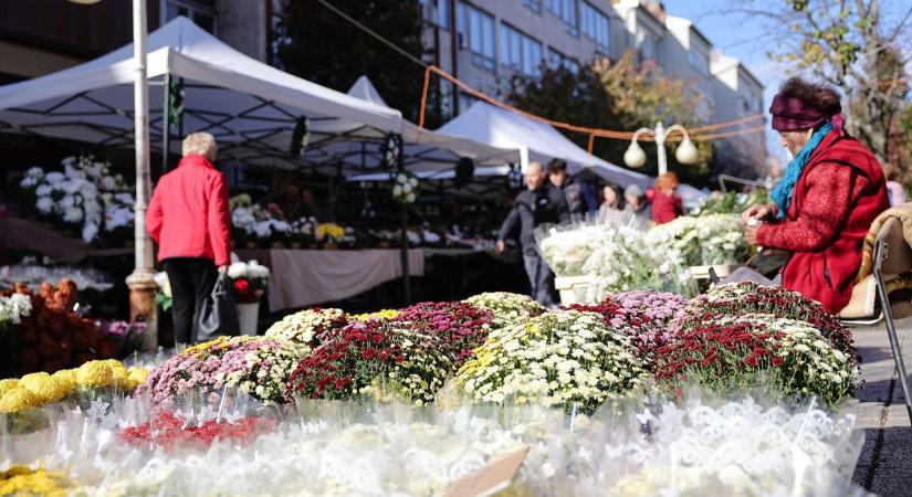 Roskadásig van már krizantém az egri piacon, de nem biztos, hogy erre az árra számított a város – fotókkal