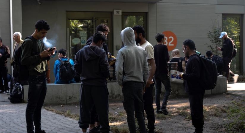 „Ezt nem lehet politikai korrektséggel elfedni”: Egy törvényszéki pszichiáter perdőntő adatokat mutatott be a németországi migránsbűnözésről