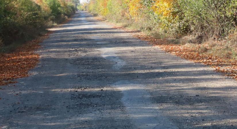 Erre a helyre a mentő és a tűzoltóautó is 50 perc alatt ér ki, annyira borzalmas az odavezető út – videóval