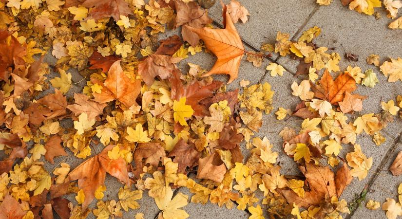 A napsugarak is előbukkannak kedden