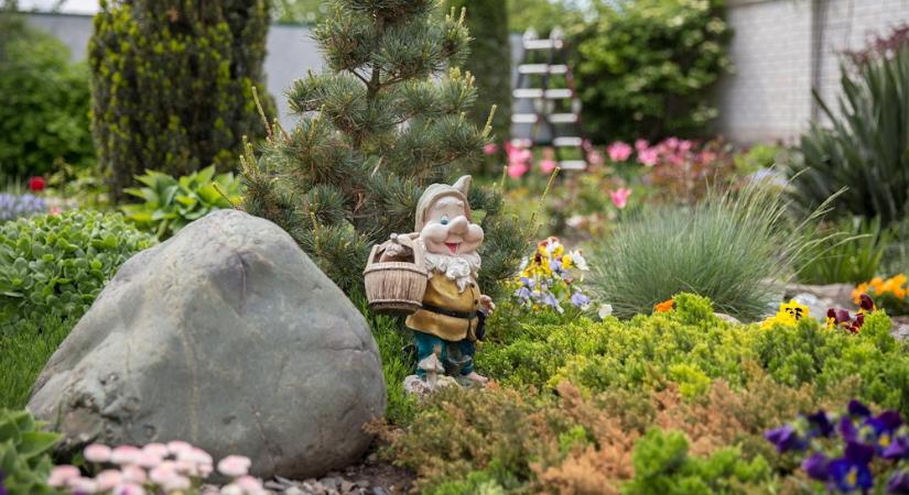 A kerted a DNS-ed tükre – mit árul el rólad, ahogy ültetsz?