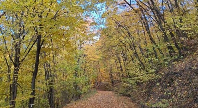 Ezeket a képeket látnod kell, csoda történt a Bükkben!
