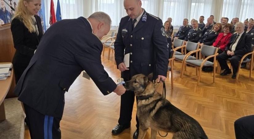 Velőscsont járt az életmentésért – elismerések a zalai rendőrségnél