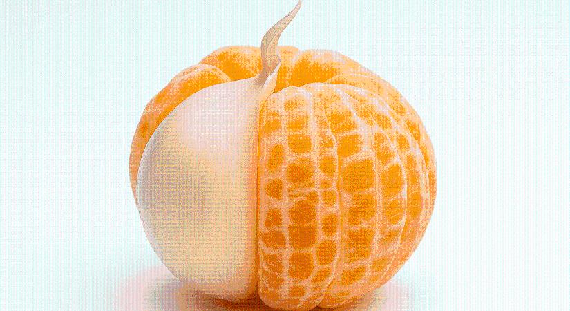 Beilleszkedtél – de hova?