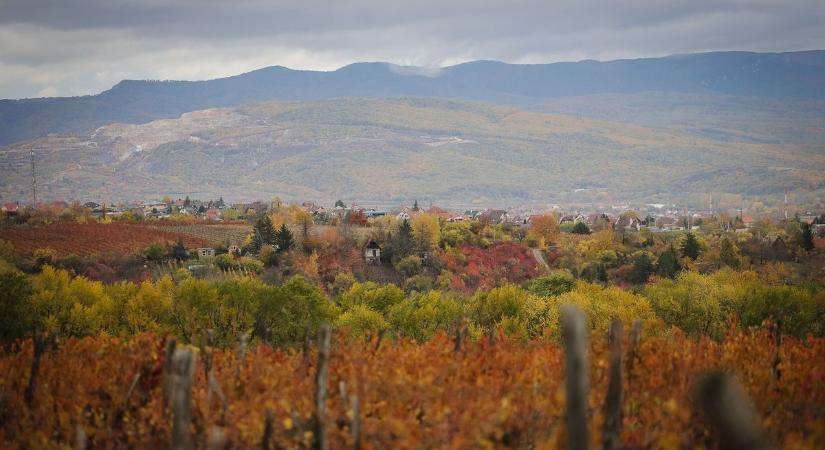 Cicával utazott Egerbe a népszerű TikToker – így pihent a történelmi városban
