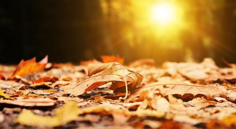 Milyen idő lesz november elsején Újvidéken?