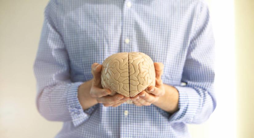 Ez a mindennapi szokás alattomosan árt az agynak: rosszabb lehet, mint a stressz