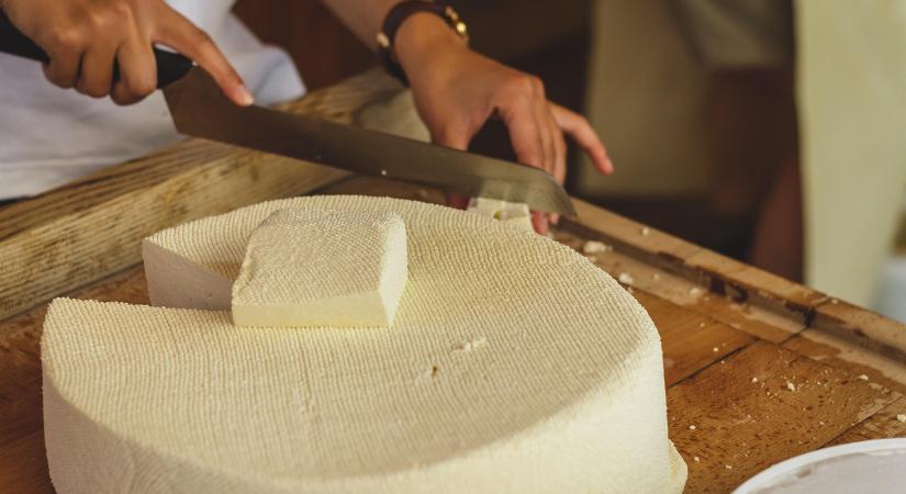 Megtartották a 13. sajtmustrát, kiváló eredmények születtek