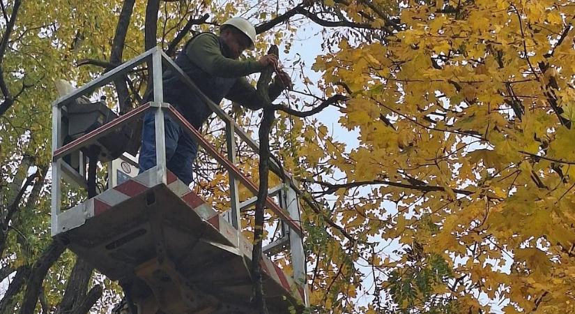Elhárították a balesetveszélyt az Erzsébet ligeti játszótéren