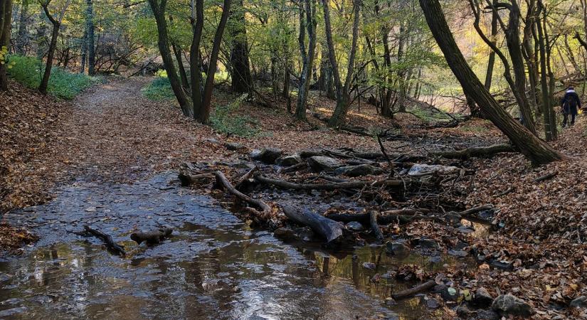 Rendkívüli a vízhiány ezen a vidéken, eltűnnek a felszíni folyások
