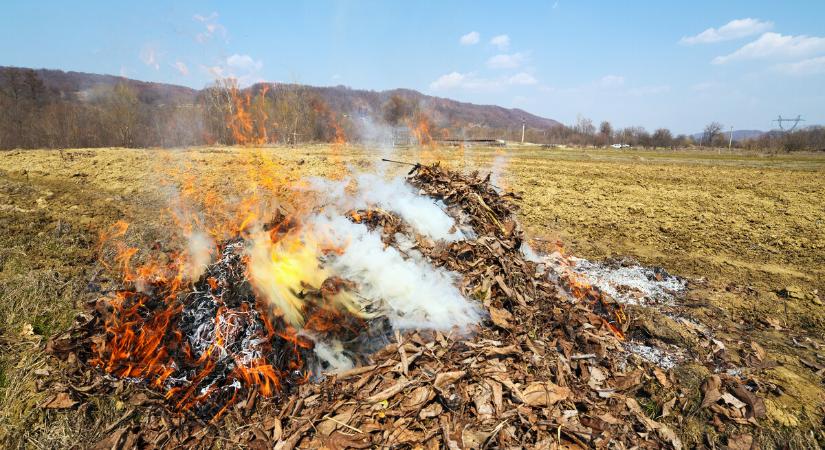 Égetés helyett komposztáljunk!