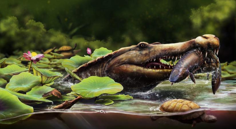 Sosem látott krokodilra bukkantak Egyiptomban