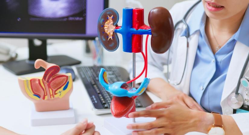 Csaknem 9 hónapig élt sertésvesével egy férfi - rekordot döntött