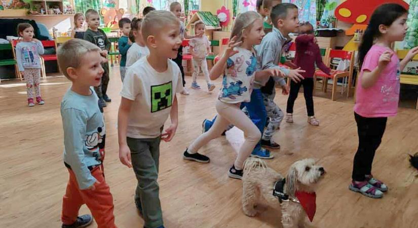 Állati jó kalandok a Klímanócskáknál