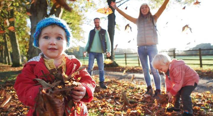 Rengeteg pénz maradhat a magyar családok zsebében: jelentős kedvezményre hívta fel a figyelmet a hatóság
