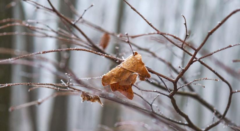 Ajaj! Hideg ősz beköszöntét jelzik a népi jóslatok?