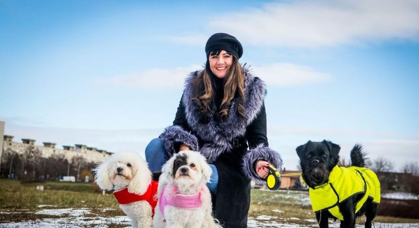 A fagyos időtől az állatok is szenvednek – de mikor kell állatorvoshoz vinni őket?