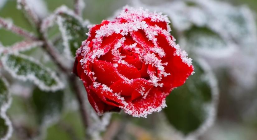 Idén is fagyos reggeleket hoz a Mindenszentek? Mutatjuk a részleteket