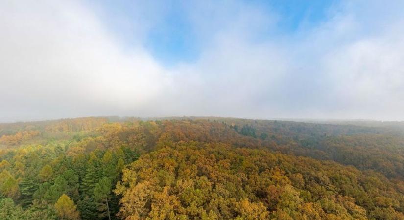 Egy pillanat alatt faképnél hagyta a megmentőjét, alig hittek a szemüknek az egri gondozók