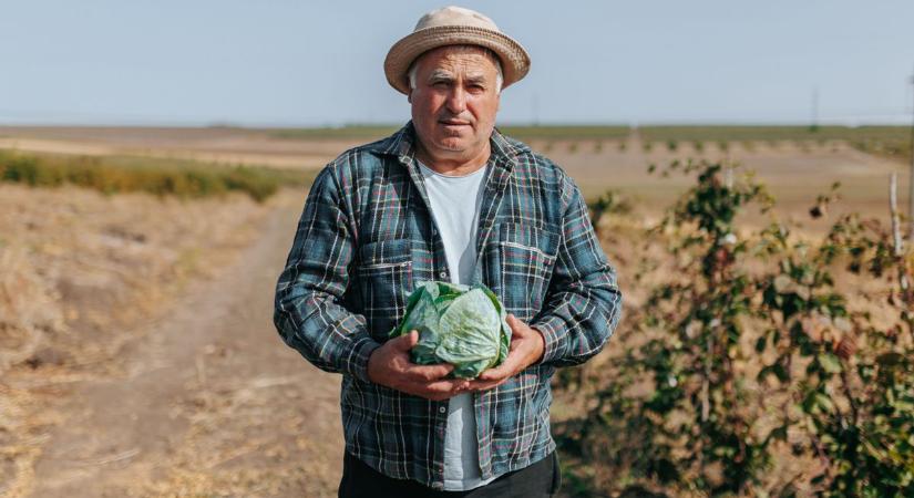 Őszi kedvenc zöldségünk, amitől boldogabb a bélflóra, és erősebb az immunrendszer