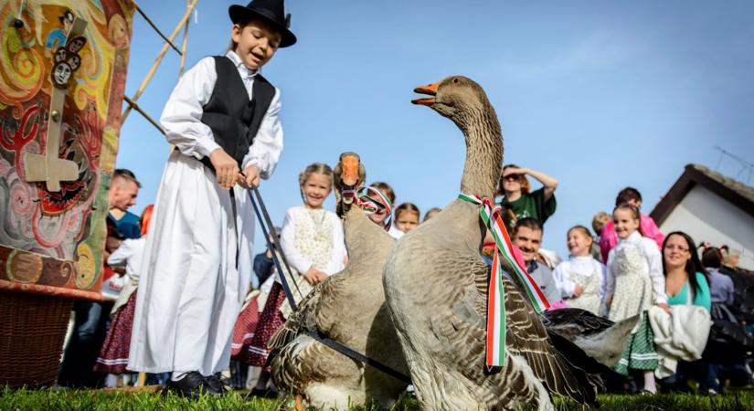 Márton-napi rendezvények, gasztronómiai és szórakoztató programok 2025 novemberében
