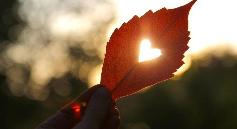 Ez az 5 csillagjegy szerelmes lehet novemberben