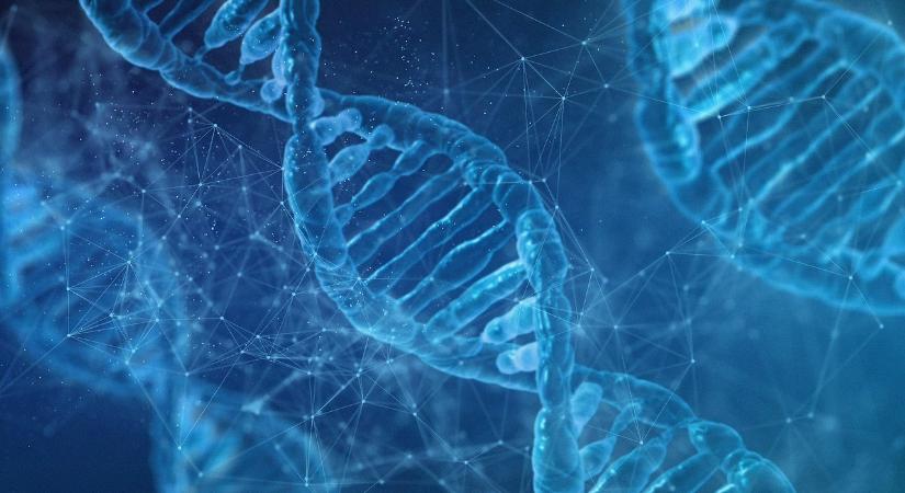 A DNS-be kódolt vendégszeretet volna a hazai turizmus egyik erőssége?