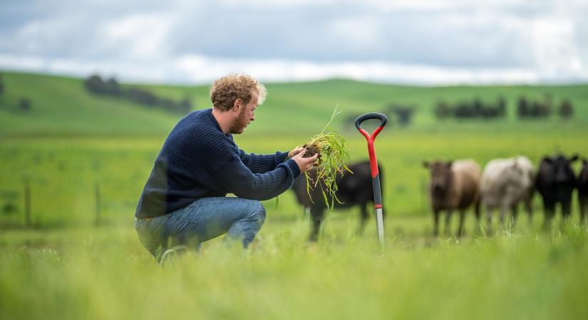 Fiatal gazdák, figyelem: íme, amit mindig tudni akartatok, de nem vágtatok bele