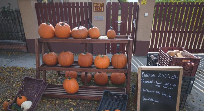 Hihetetlen, de működik: a bordányi becsületkassza már tíz éve bizonyít! – videóval