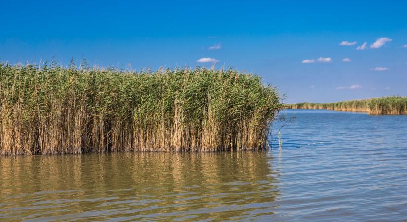 Hatalmas a baj: kritikus állapotban van a népszerű magyar tó