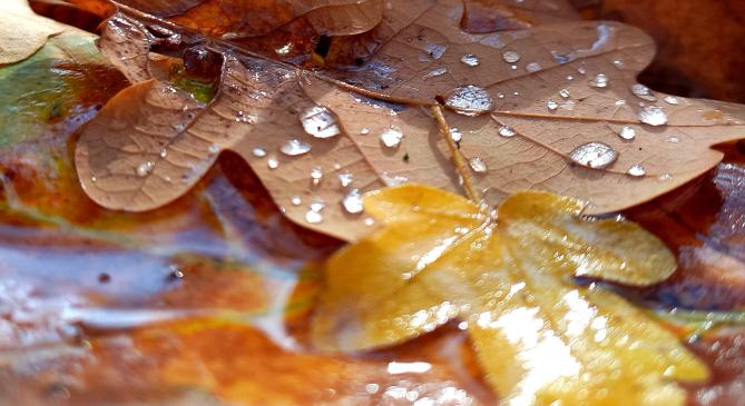 Bács-Kiskunban és Csongrád-Csanádban is feloldották a tűzgyújtási tilalmat