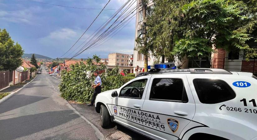 Több napja halott férfit találtak egy székelyudvarhelyi lakásban