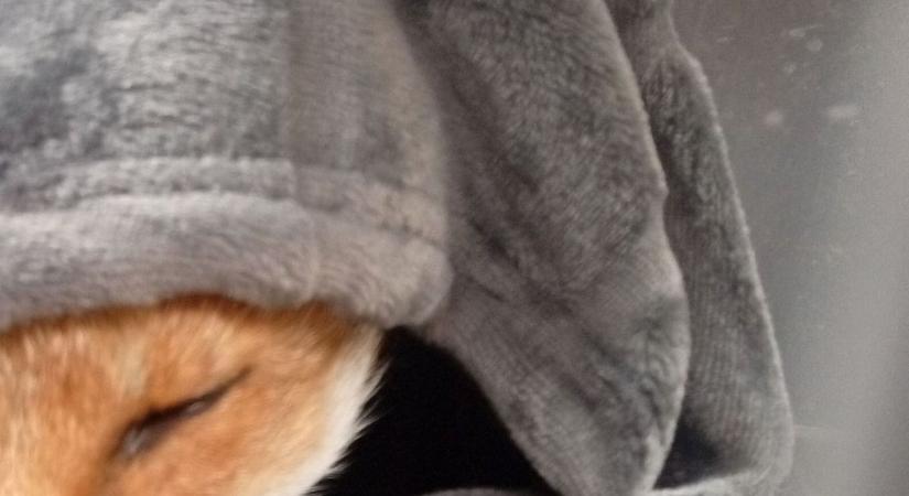 Pont Miskolcon voltak, amikor a hírt kapták – Újra civilek mentettek életet