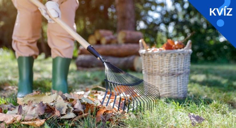 KVÍZ: Ősszel is értesz a kerthez? Mit kell ilyenkor csinálni?