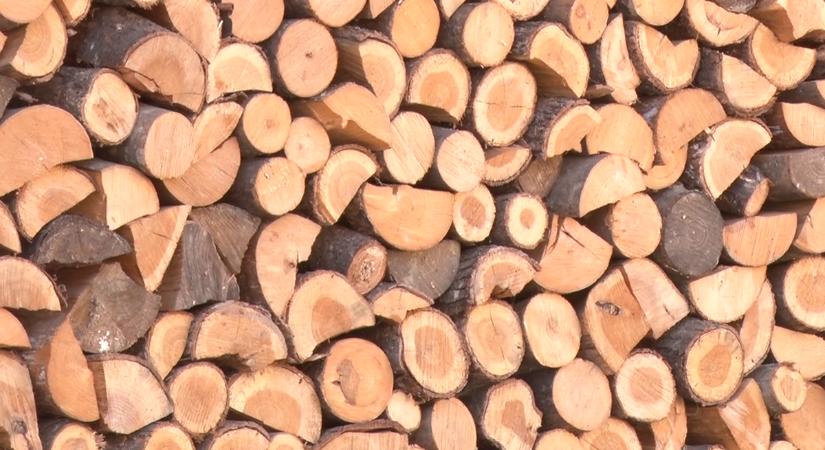 Szociális célú tűzifa juttatás