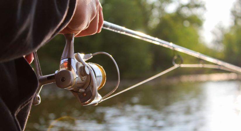 Ritka fogás a Duna-völgyi-főcsatornán, sosem akadt még horogra ilyen hal ebben a vízben