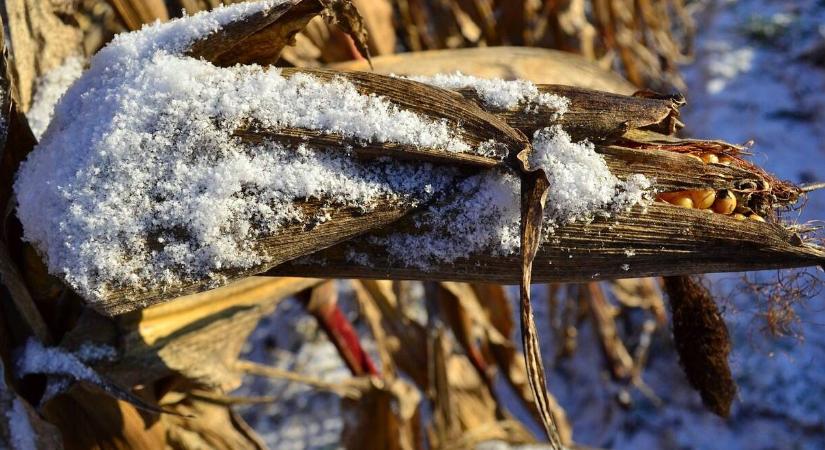 Ez vár ránk a mostani télen, a februárt megkeserülhetjük