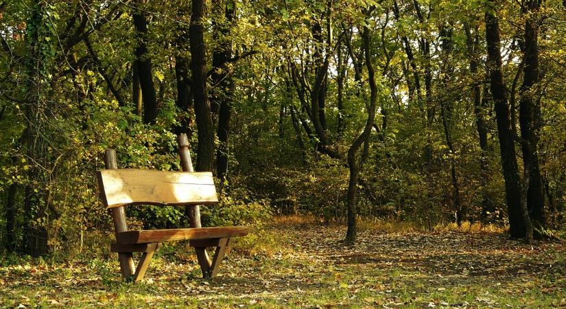 Időjárás: Mintha nem is november közelegne VIDEÓ