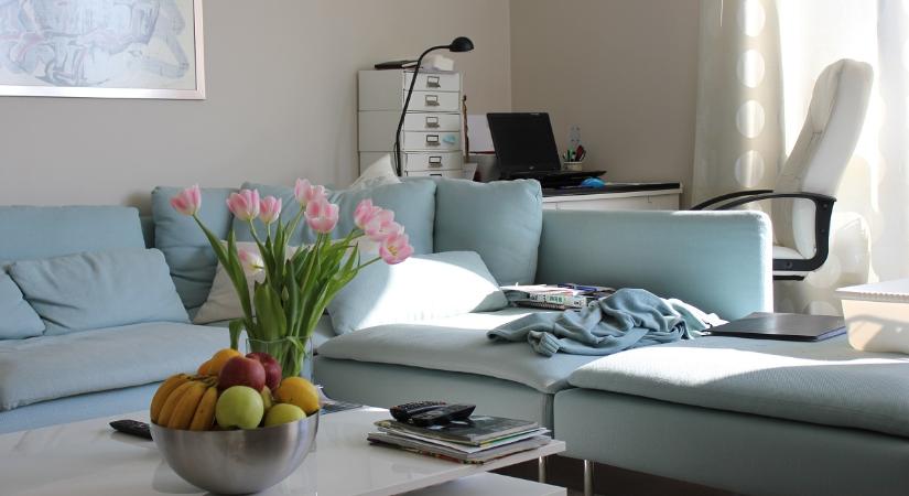 Távmunka vagy hibrid munkarend: jogi csapdák és adómentes lehetőségek