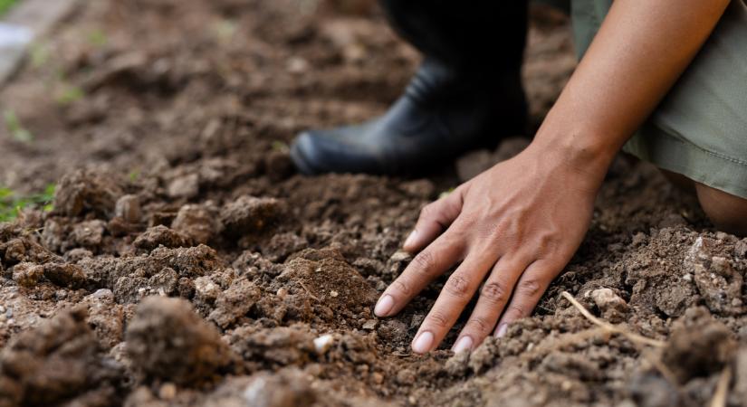 Nagy segítség jön a fiatal gazdáknak Magyarországon: mutatjuk