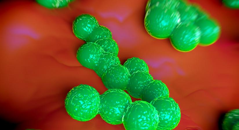 Egy antibiotikum előállítása során létrejövő vegyület még az antibiotikumnál is hatékonyabb lehet a szuperbaktériumok ellen