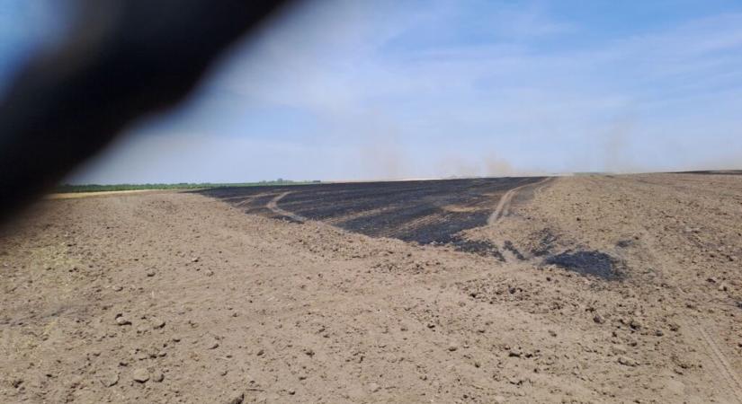 Elveszíthetik a támogatást azok a gazdaságok, amelyek meggyújtják a növényi hulladékot