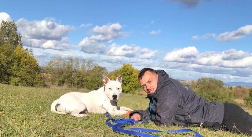 A szeretetből épített menedék – így segít a Rex Állatvédő Egyesület a bajba jutott állatokon