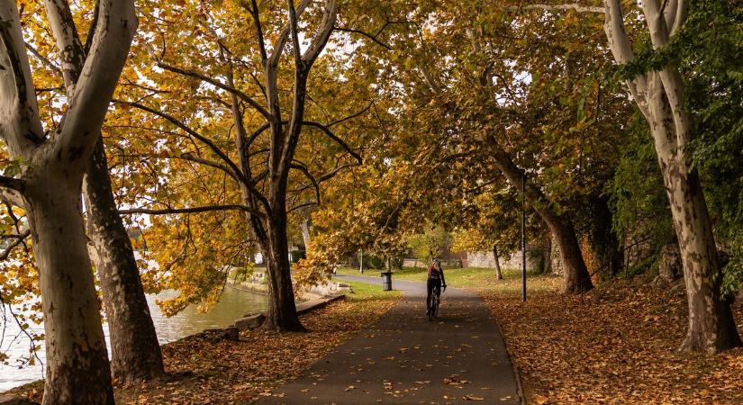 Szinte ingyen adják ezt a Parkside-szettet: ez a kerti munkák királya most