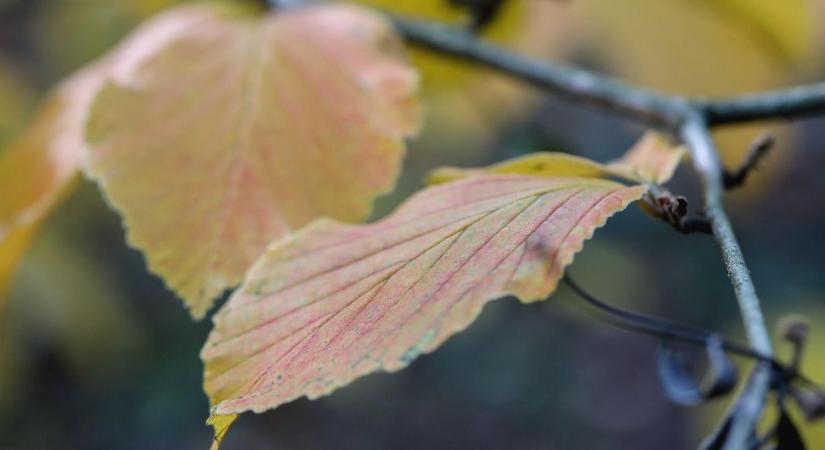 Esőtől napos felhőkön át: fordulatos napra készülhetünk Borsod-Abaúj-Zemplénben