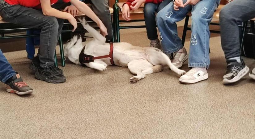 Megható összefogás októberben: sorban érkezett a segítség a Tappancshoz