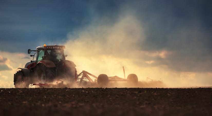 Nőtt a vetésterület, csökkentek a hozamok: mégis mi történt az őszi munkáknál?