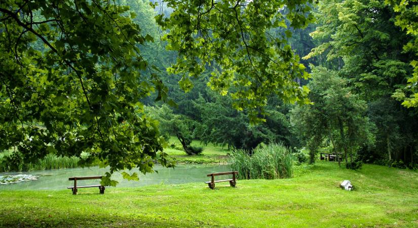 A püspökszentlászlói püspöki kastély és arborétum