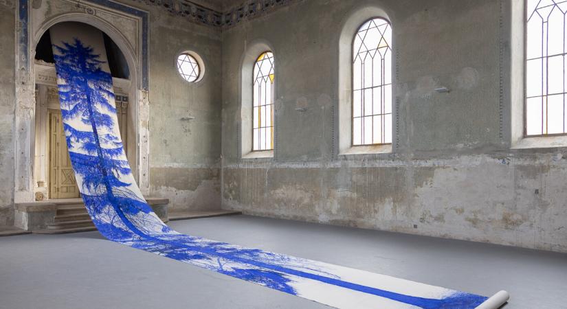 Óriás festményt inspirált egy dunaszerdahelyi fa, amely megúszta a kivágást